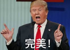 程序员 reaction:特朗普00002 完美川普川建国