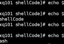 Linux进阶打怪:Shell编程保姆级入门指南-网硕互联帮助中心
