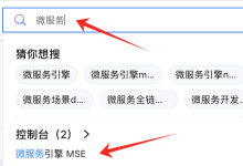 阿里云微服务mse设置HSTS、TLS安全协议-网硕互联帮助中心