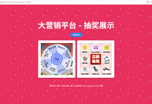 大营销平台 —— 细节优化和前端对接-网硕互联帮助中心