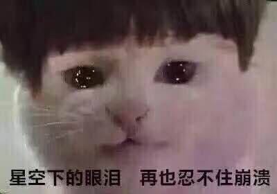 审核崩溃