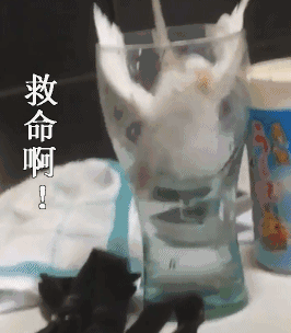 续命