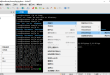 麒麟高级服务器操作系统 V10 源码编译安装 Python 3.11 完整指南-网硕互联帮助中心
