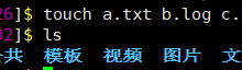 Linux 入门基础命令(2) |小白零基础快速上手-网硕互联帮助中心