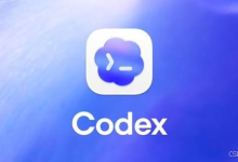 Codex官网前端可抄吗?拆技术栈、性能与工程细节,分享一些拆解笔记-网硕互联帮助中心