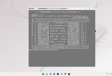 雨晨 Windows 11 IoT 企业版 LTSC 26H2 轻装 26300.9268 正式版-网硕互联帮助中心