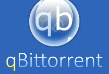 qBittorrent客户端新版下载,qBittorrent管理工具正版下载-网硕互联帮助中心