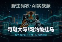 奇耻大辱,我的网站被挂马,服务器已沦陷三个月-网硕互联帮助中心