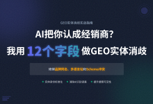 AI把你认成经销商?我用12个字段做GEO实体消歧,修掉品牌同名、多语言站和Schema冲突-网硕互联帮助中心