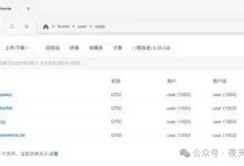 反向代理部署服务器的解决方案-网硕互联帮助中心