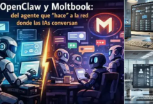 【AI Agent 实战】OpenClaw 全面解析 + 全平台一键部署教程(本地 AI 智能体)-网硕互联帮助中心