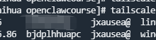 不用公网 IP,把 Windows 和 Linux 服务器放进同一个局域网:Tailscale 组网实战-网硕互联帮助中心