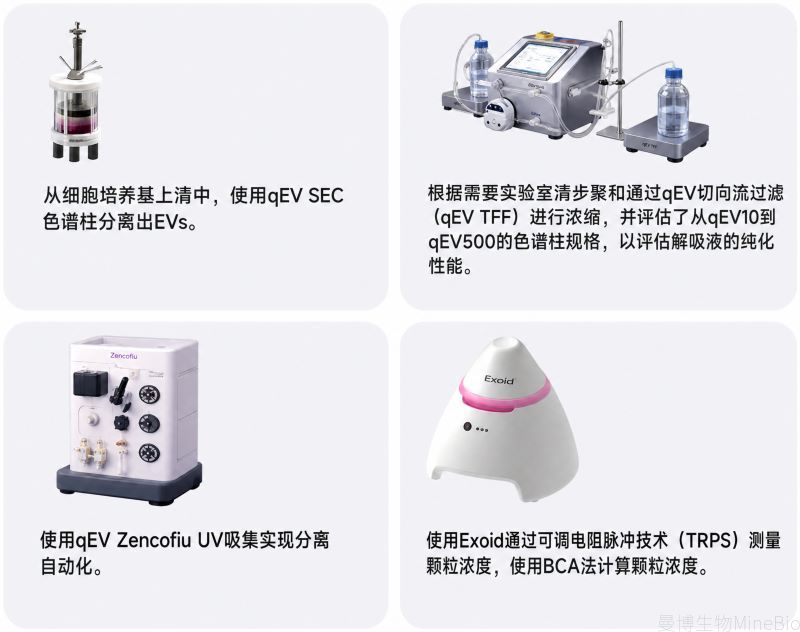 CCM样本的qEV220工作流总览