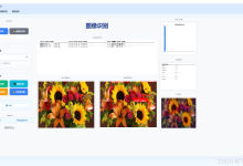 基于改进CONDINST的向日葵检测方法研究-网硕互联帮助中心