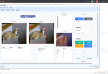 基于改进YOLOV13-C3k2-ConvFormer的室内猫识别系统设计与实现-网硕互联帮助中心