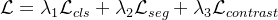 \\mathcal{L} = \\lambda_1\\mathcal{L}_{cls} + \\lambda_2\\mathcal{L}_{seg} + \\lambda_3\\mathcal{L}_{contrast}