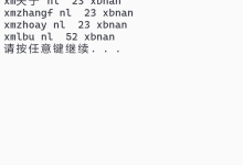 内存分区与new-网硕互联帮助中心