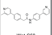 Wnt-C59在Wnt信号通路研究中怎么用？从PORCN机制到类器官实验设计-网硕互联帮助中心
