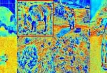 YOLO野外林地野猪目标检测数据集-2885张-网硕互联帮助中心
