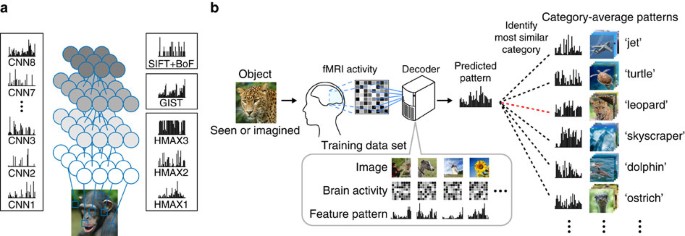 Figure 1：基于分层视觉特征的通用物体解码