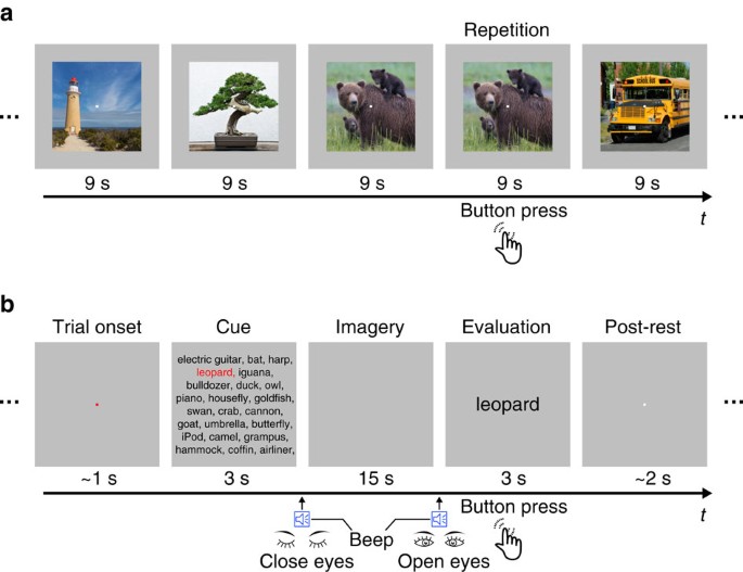 Figure 2：真实观看与视觉想象的实验设计
