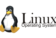 第十八讲：Linux下程序执行流程-网硕互联帮助中心