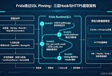 Frida绕过SSL Pinning实战:从系统层到Native层,HTTPS流量与加密参数全提取-网硕互联帮助中心