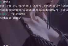 Asis CTF 2016 b00ks-网硕互联帮助中心