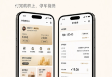 停车对接积分系统,商场会员小程序标配-网硕互联帮助中心