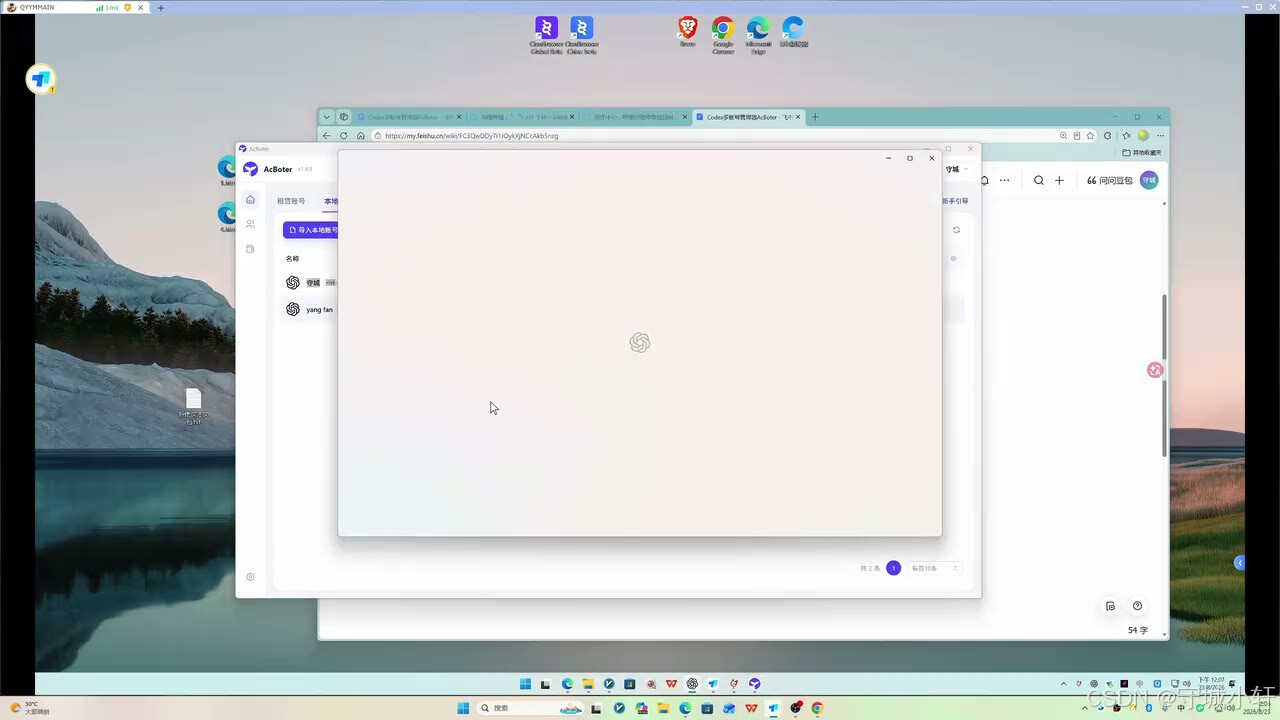双 Codex 进程同时运行