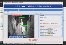 毕设项目 yolo11智能安防偷盗行为识别系统(源码+论文)-网硕互联帮助中心