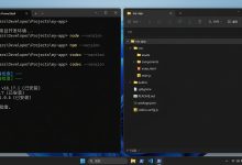 Codex怎么下载并完成本地部署?Windows开发环境配置与常见问题排查-网硕互联帮助中心