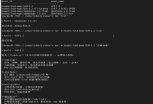 2026华为AI码道 CodeArts 使用分享：Windows端 + 服务器CLI 实战总结-网硕互联帮助中心