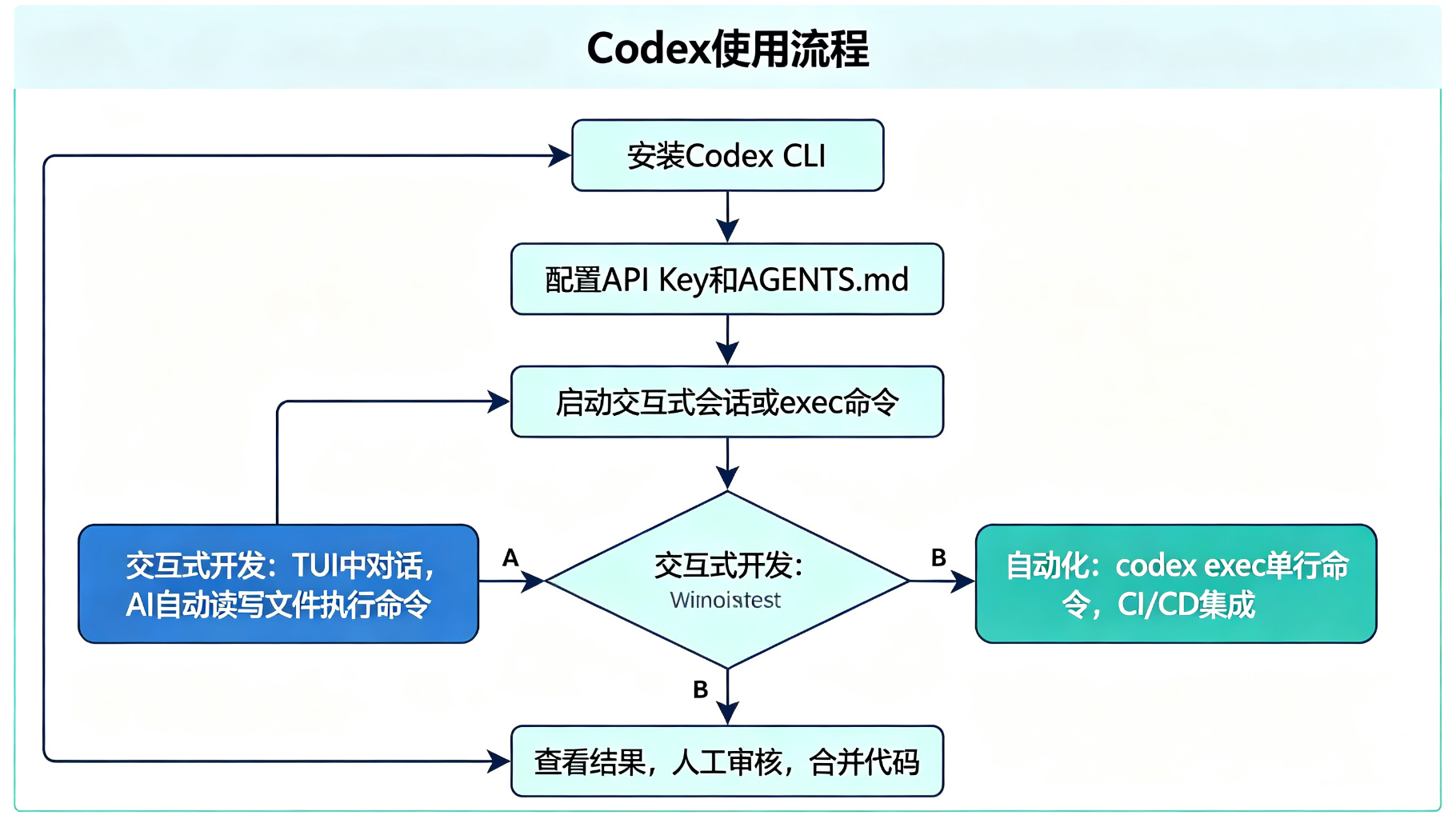 Codex使用流程