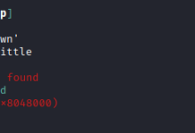 buuctf-pwn ciscn_2019_sw_1(32位只有一次格式化机会)题解(学习过程持续更新)-网硕互联帮助中心