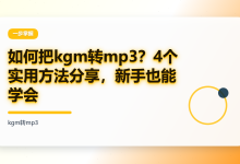 如何把kgm转mp3？4个实用方法分享，新手也能学会-网硕互联帮助中心