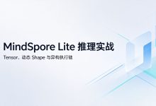 MindSpore Lite 端侧推理的 Tensor、动态 Shape 与异构执行链【鸿蒙心迹】-网硕互联帮助中心