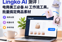 Lingko AI 测评|电商美工必备 AI 工作流工具,批量搞定商品素材-网硕互联帮助中心