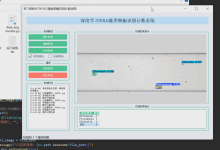 毕设 深度学习yolo藻类细胞检测识别(科研辅助系统)(源码+论文)-网硕互联帮助中心