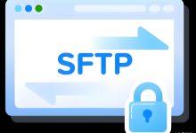 FreeSSHd vs FileZilla Server vs SFTPGo:Windows SFTP服务器易用性终极横向测评-网硕互联帮助中心