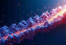当AI在数学中“失准”:一场关于形式化、直觉与工程取舍的深度复盘-网硕互联帮助中心