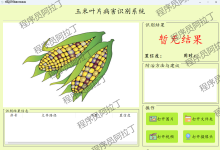基于YOLOv8深度学习的玉米叶片病害识别系统(Python+PyTorch+OpenCV+PyQt5)| 毕业设计 源码+论文+完整教程-网硕互联帮助中心