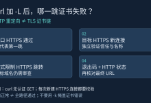 curl加-L后才报SSL证书错误:HTTPS重定向与目标站信任排查-网硕互联帮助中心
