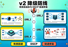 RoCE v2 跨网段通信降级防线:混合云场景下的有损回退与 DSCP 映射修复-网硕互联帮助中心