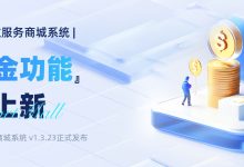VortMall 保证金功能上线:缴存规则、资金操作与商户端查询说明-网硕互联帮助中心