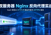 Server 18 ，Nginx 双服务器 HTTP转HTTPS 代理实战（ HTTP 地址换 HTTPS 域名 ）-网硕互联帮助中心