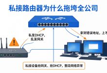 组网第32课：接入保护与二层排障——端口安全、风暴抑制、环路检测与五步法-网硕互联帮助中心