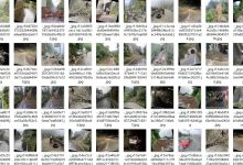 边坡落石图像数据集 道路落石数据集 AI自然灾害预警数据集-网硕互联帮助中心
