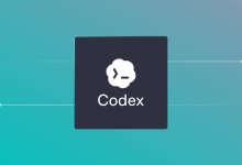Codex 下载与本地部署实战:从环境准备到跑通第一个任务-网硕互联帮助中心